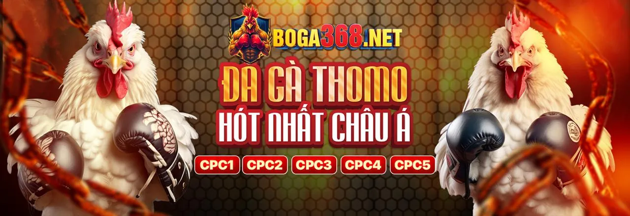 Đá gà trực tuyến kịch tính tại 789king com